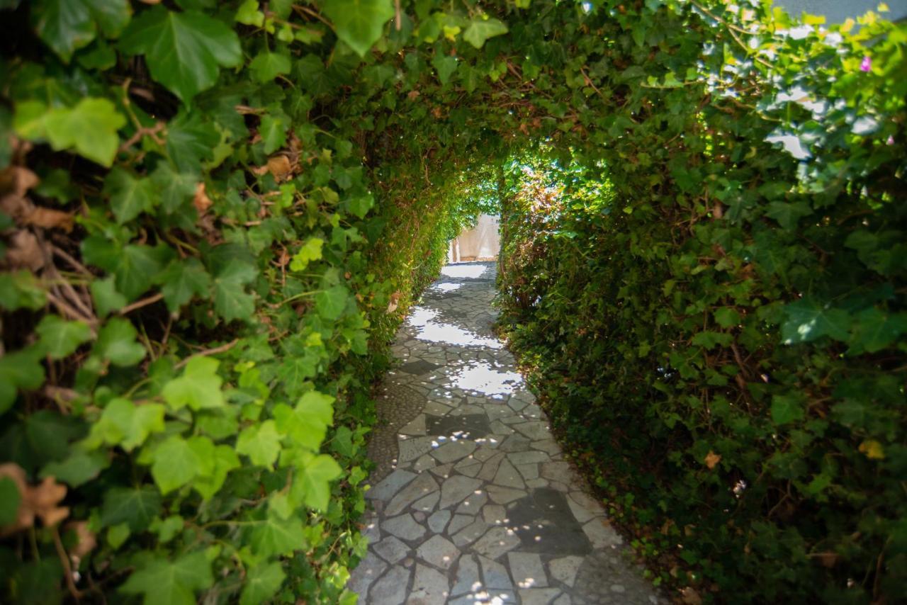 The Olive Terrace Apartments Palase Екстер'єр фото