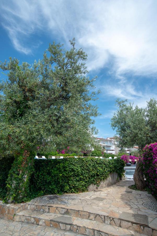 The Olive Terrace Apartments Palase Екстер'єр фото
